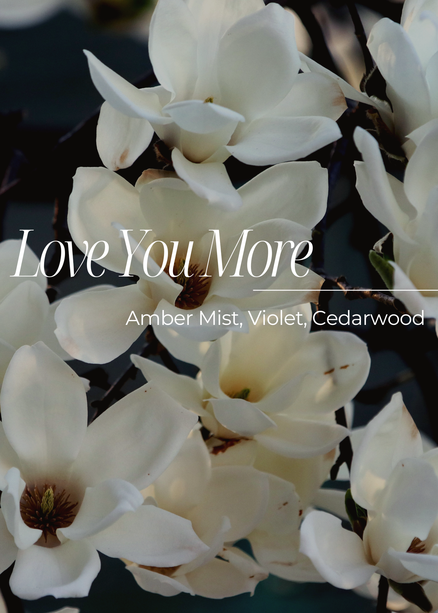 Love You More Wax Melt