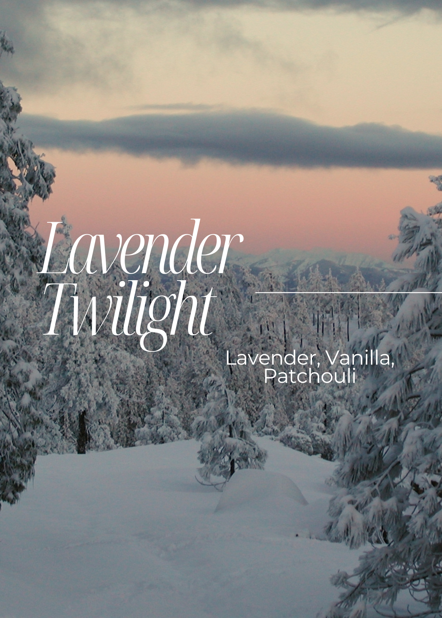 Lavender Twilight